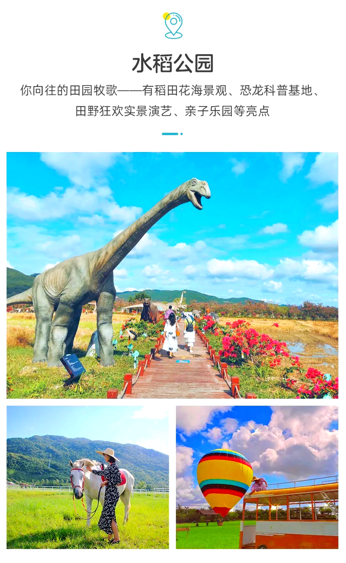 海南A详情11
