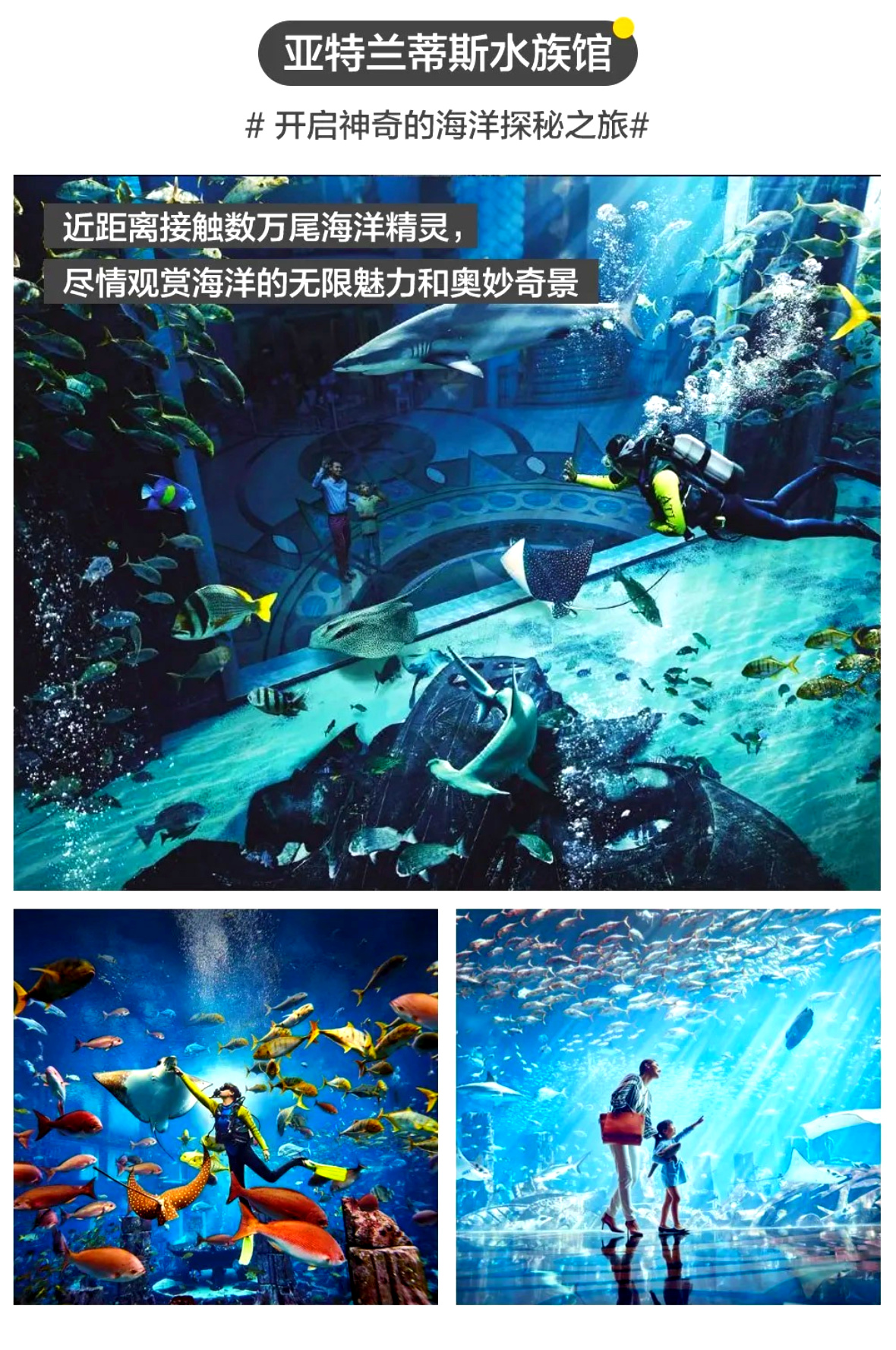 海南A详情6