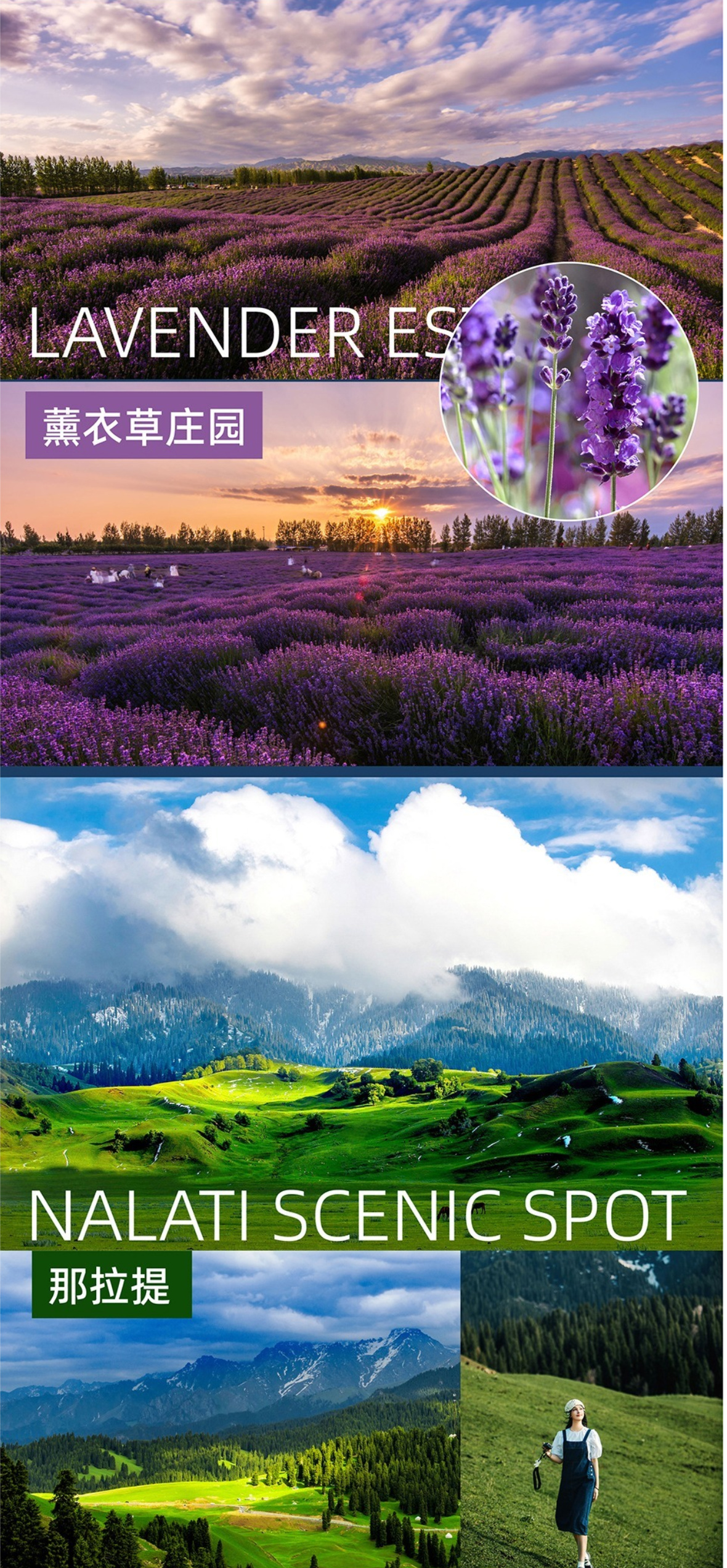 北疆B详情7