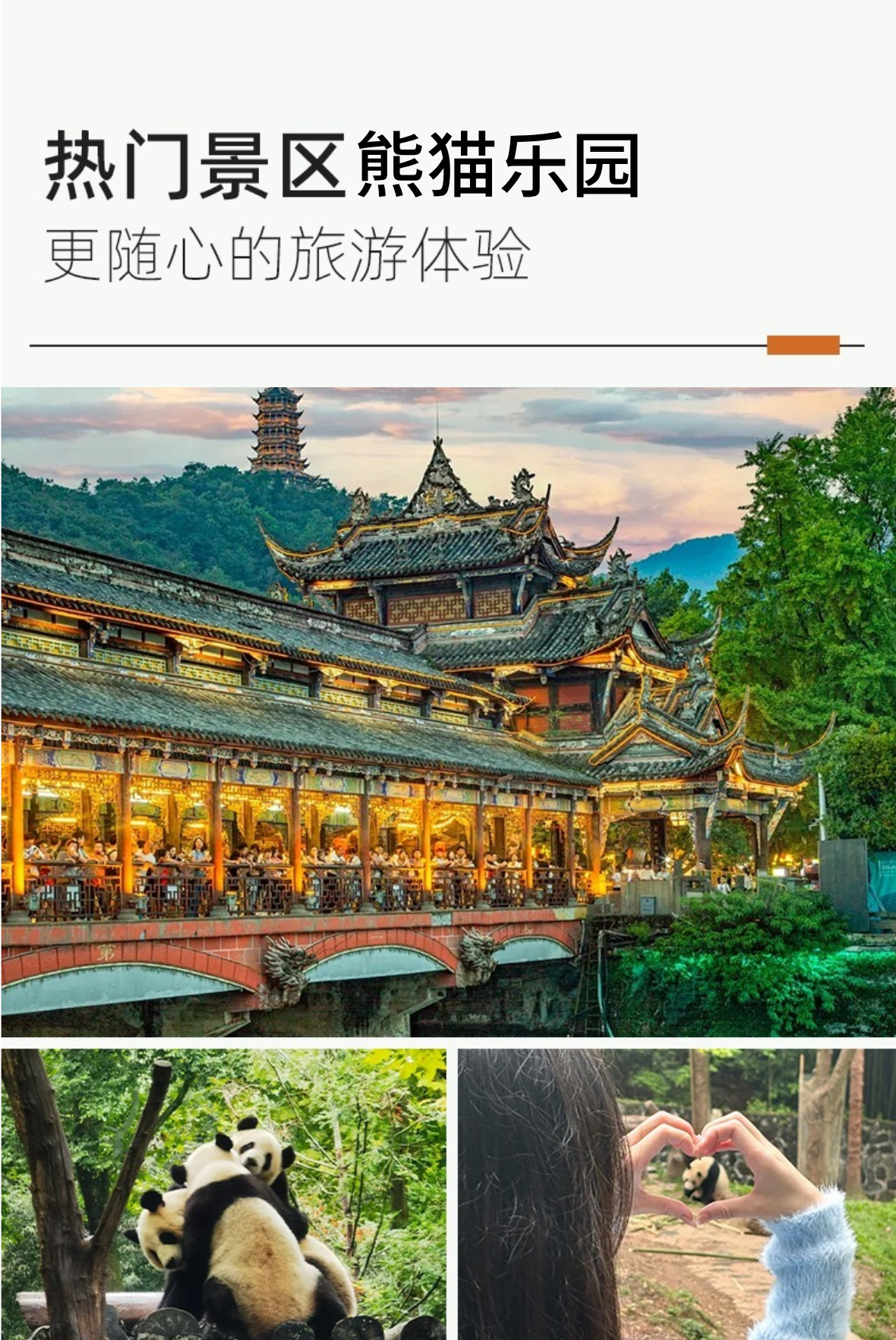 成都A详情7