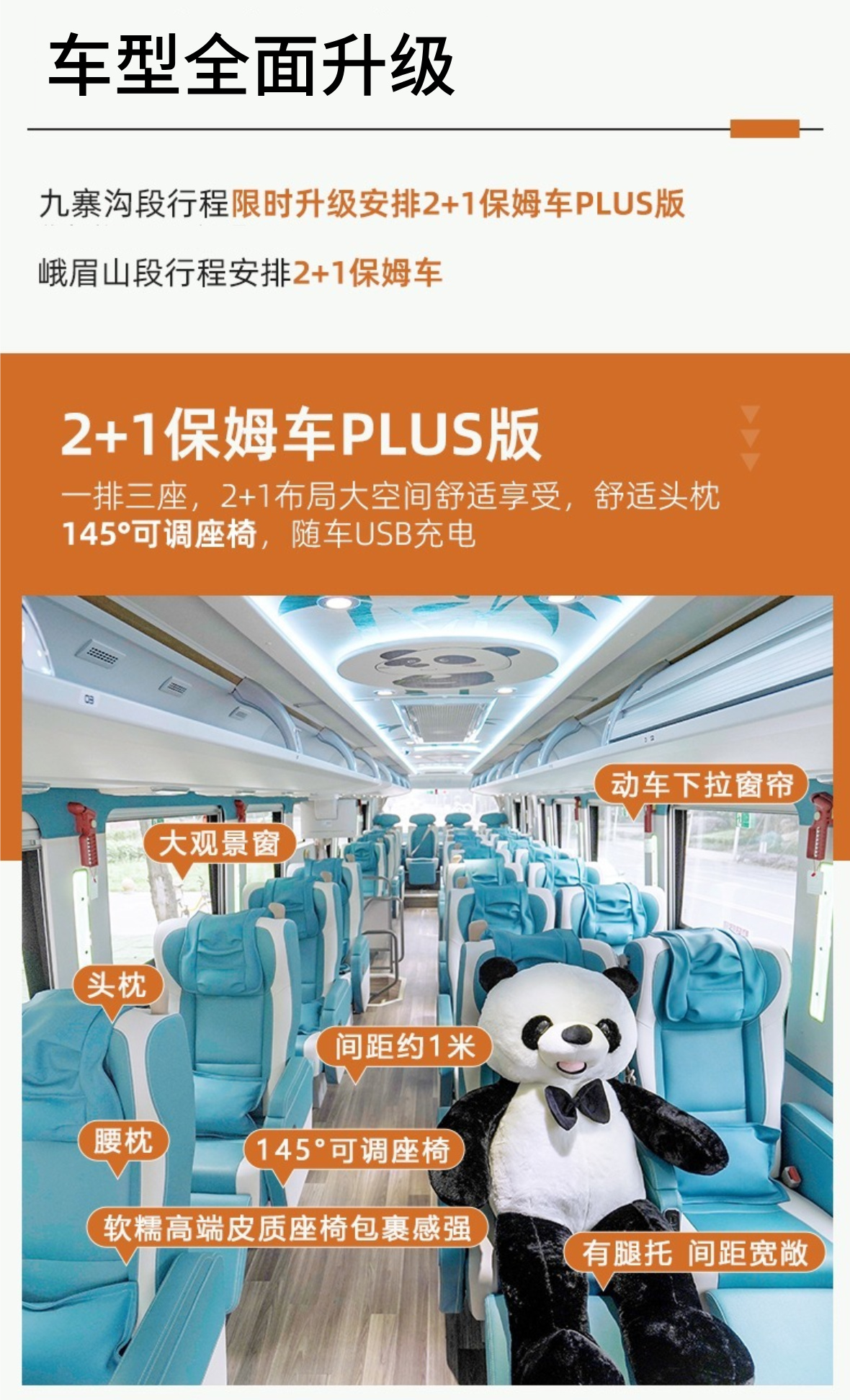 成都A详情11
