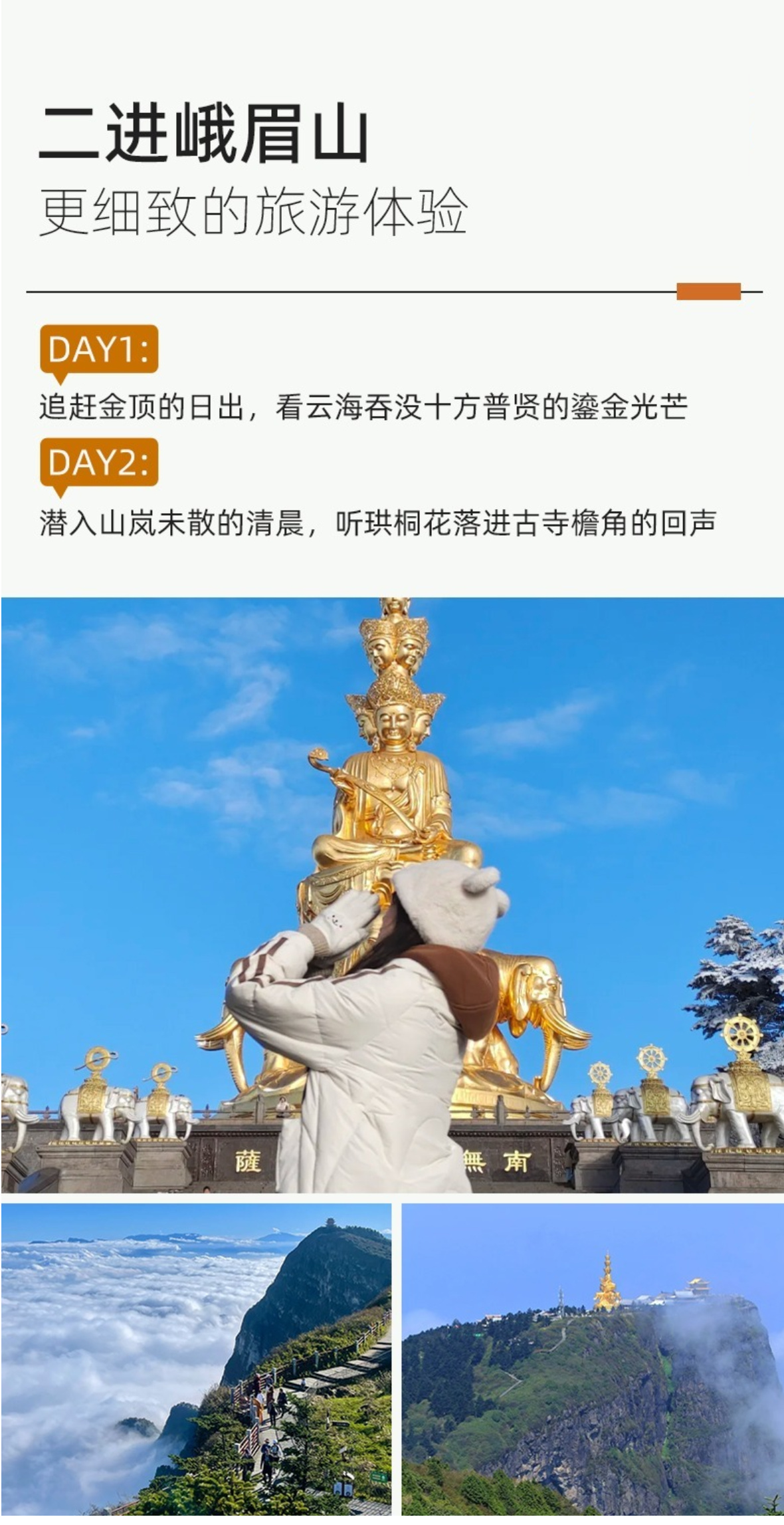 成都A详情8