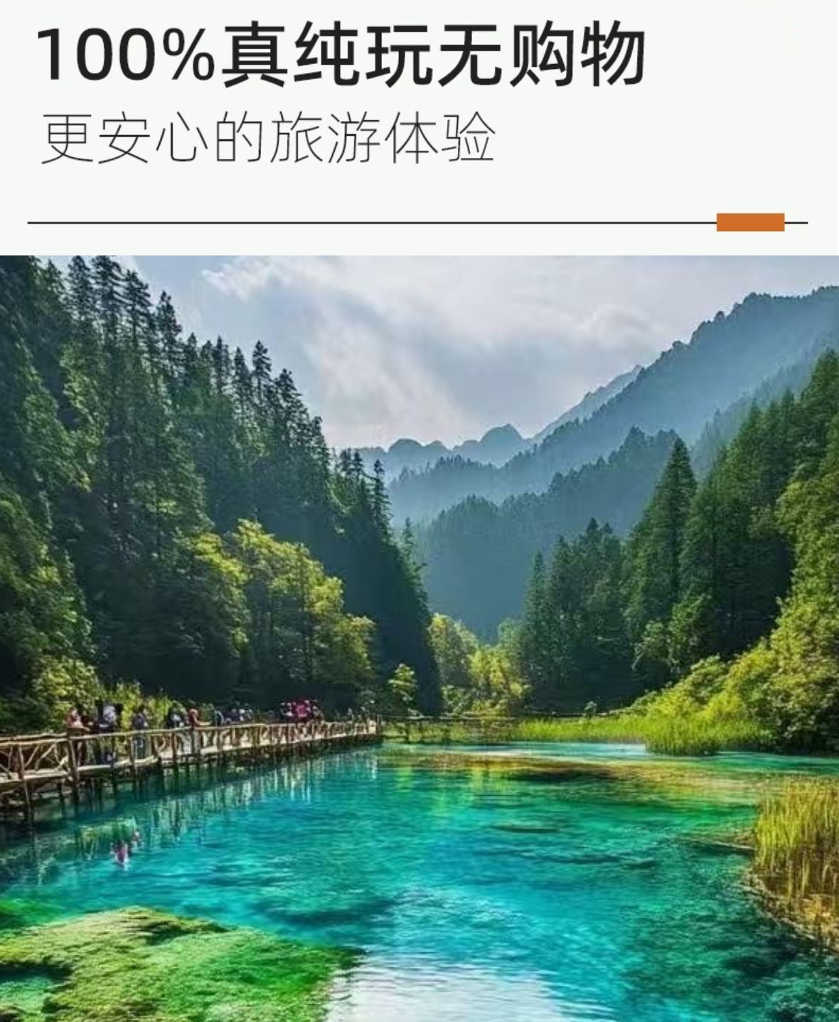 成都A详情2