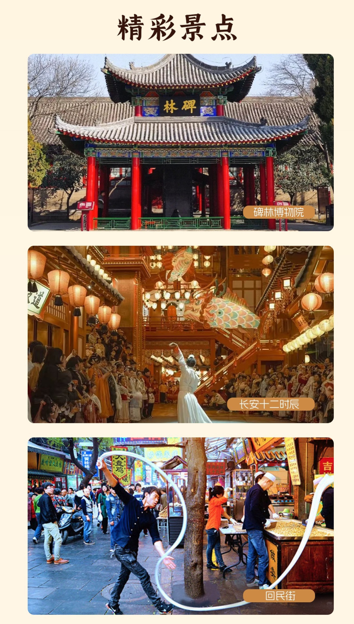 西安A详情9