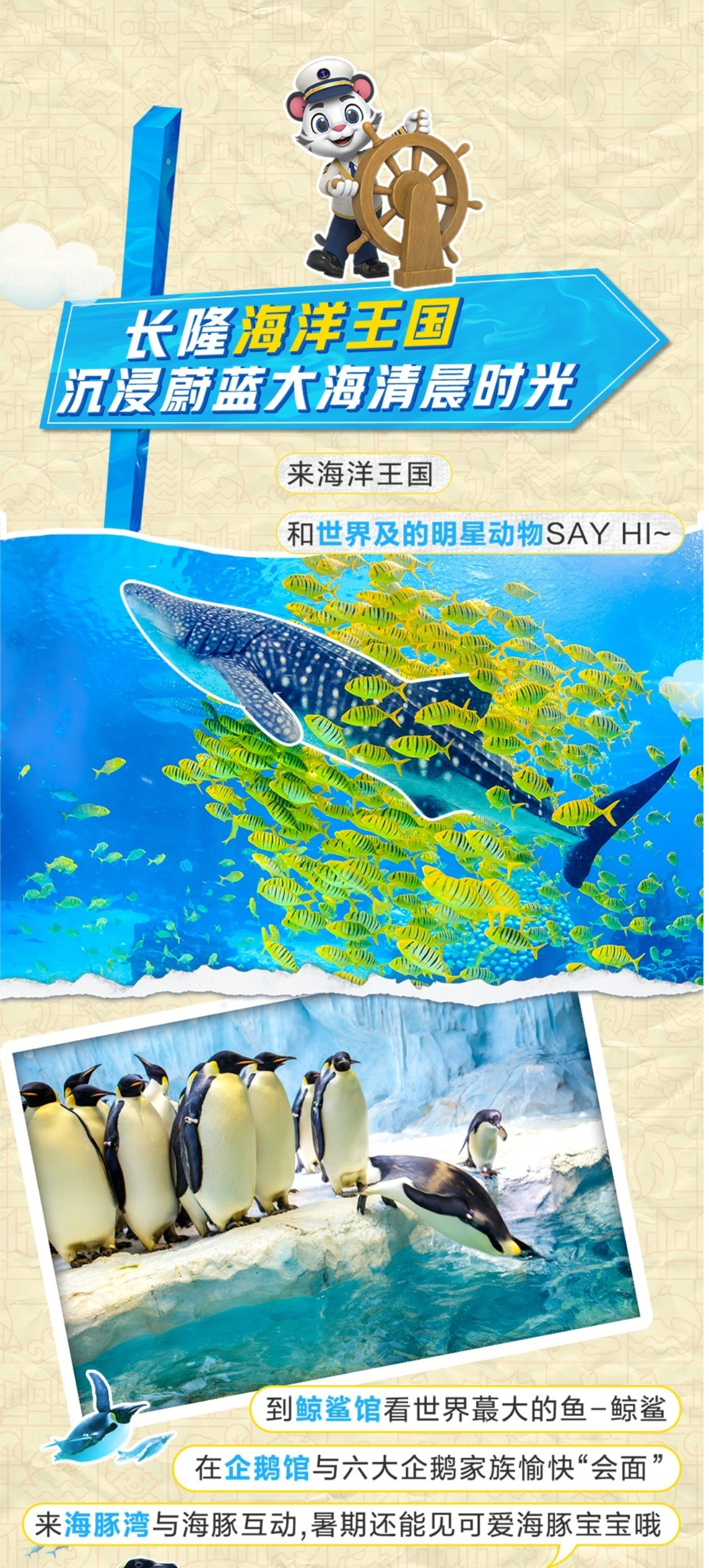 长隆A详情6