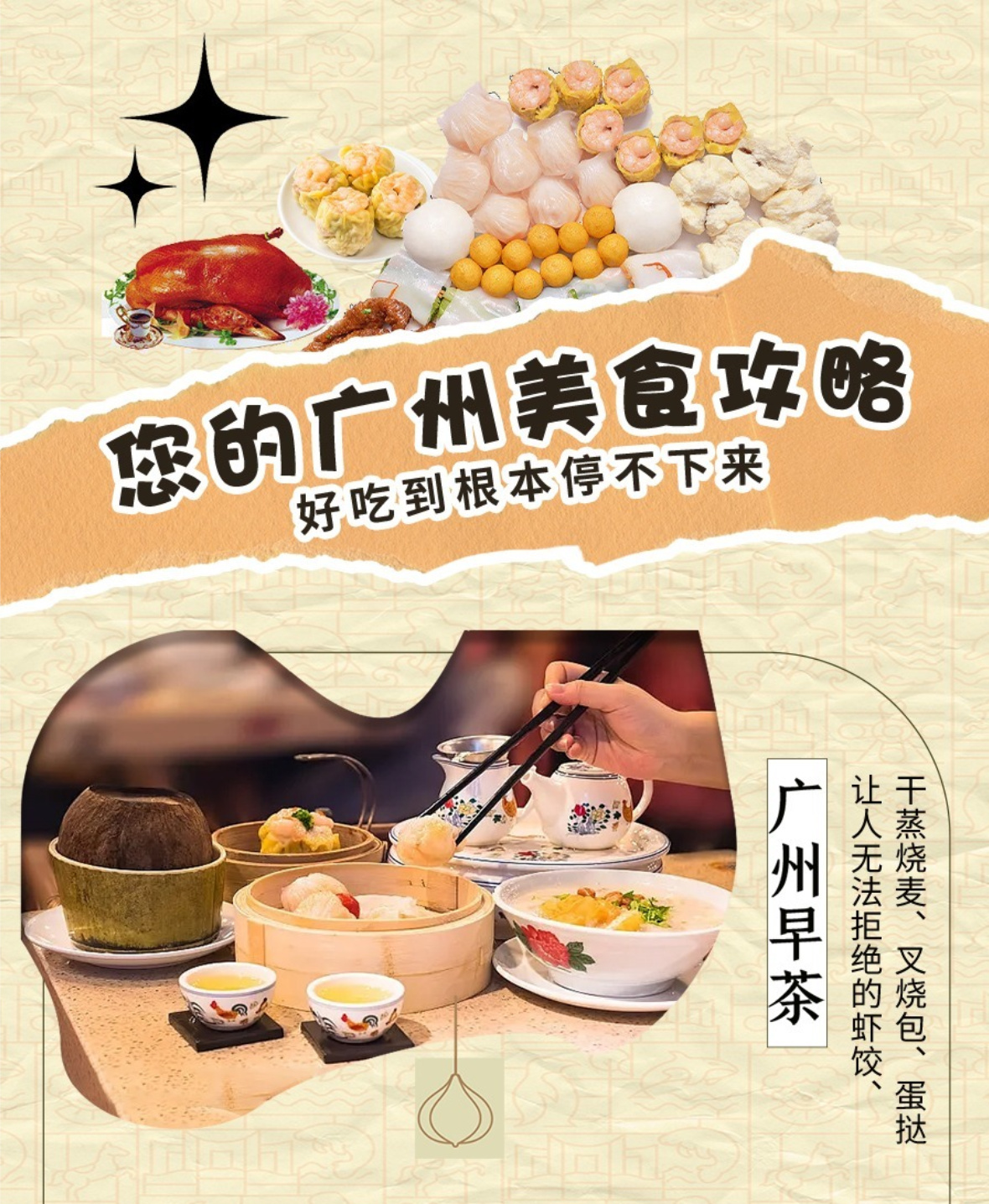 长隆A详情10