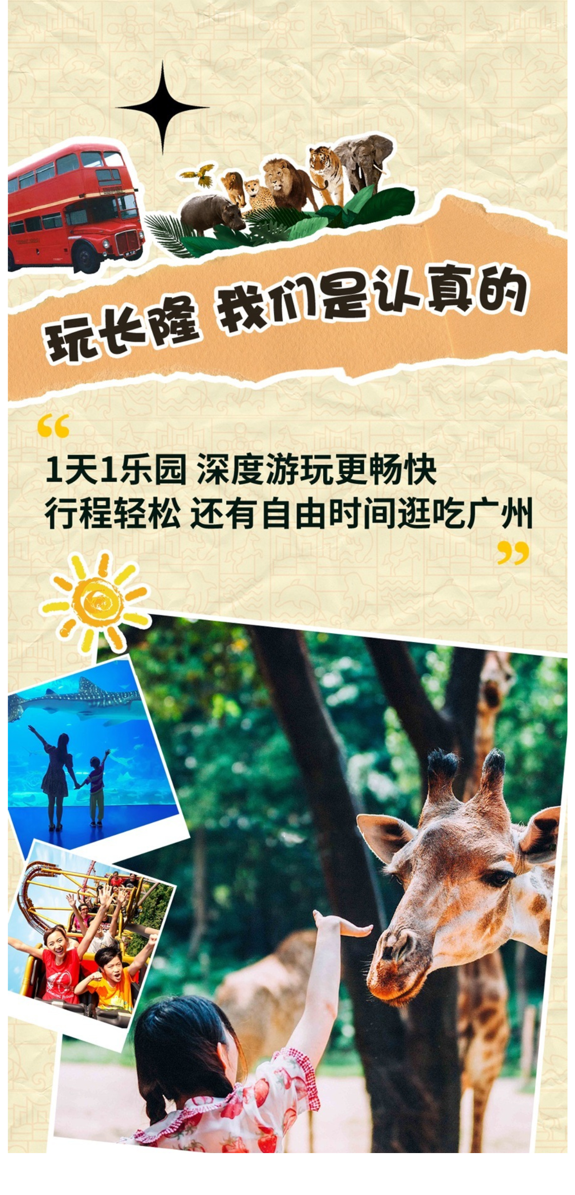 长隆A详情1