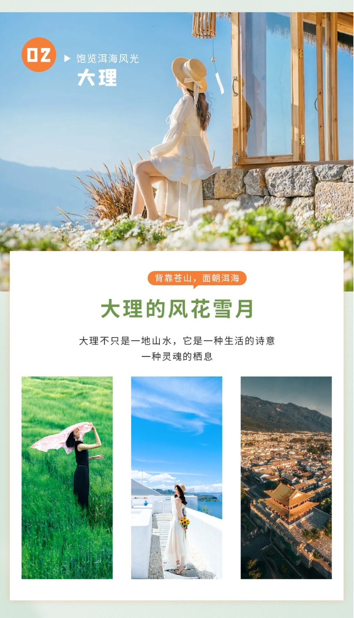 云南B详情13