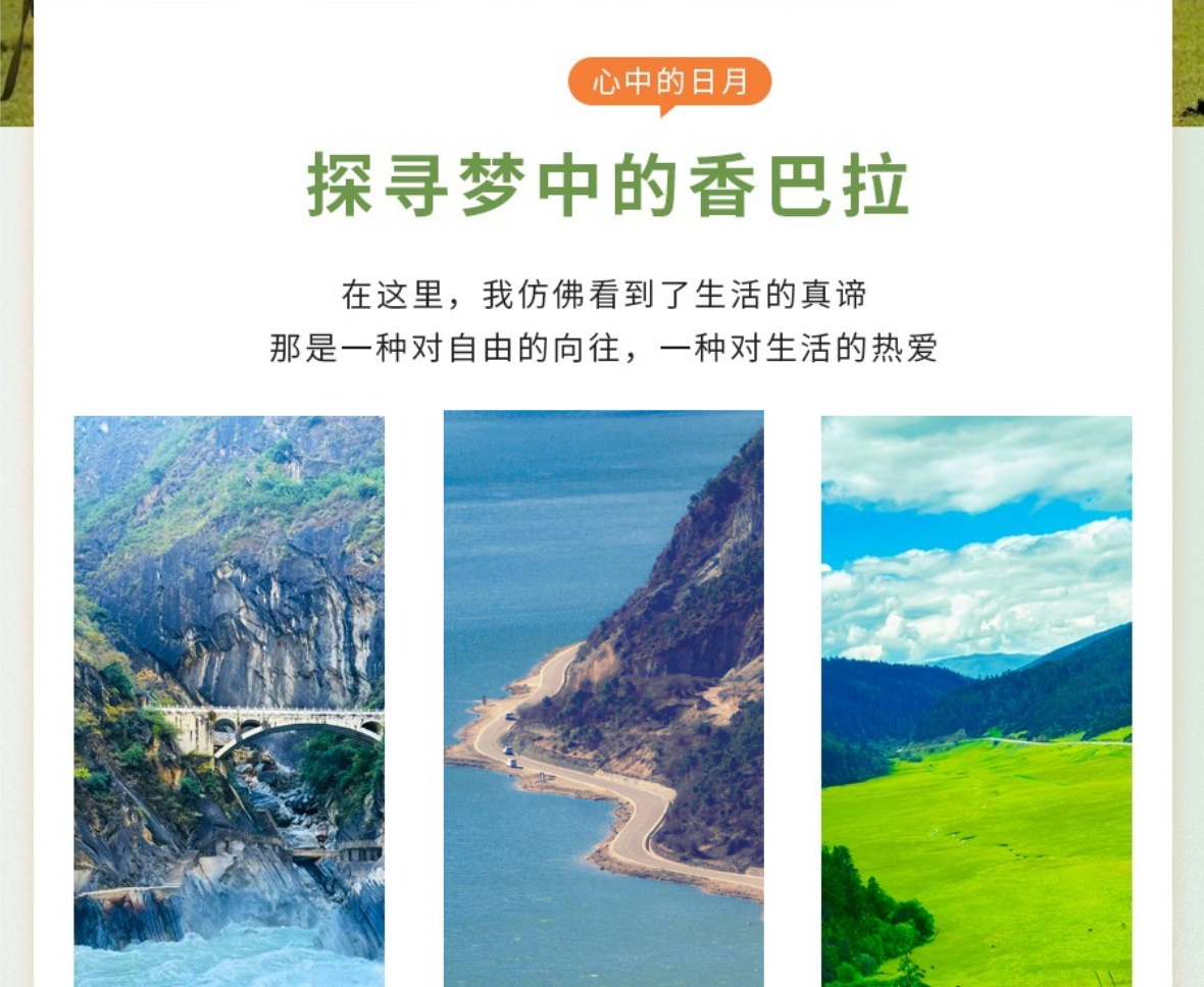 云南B详情16