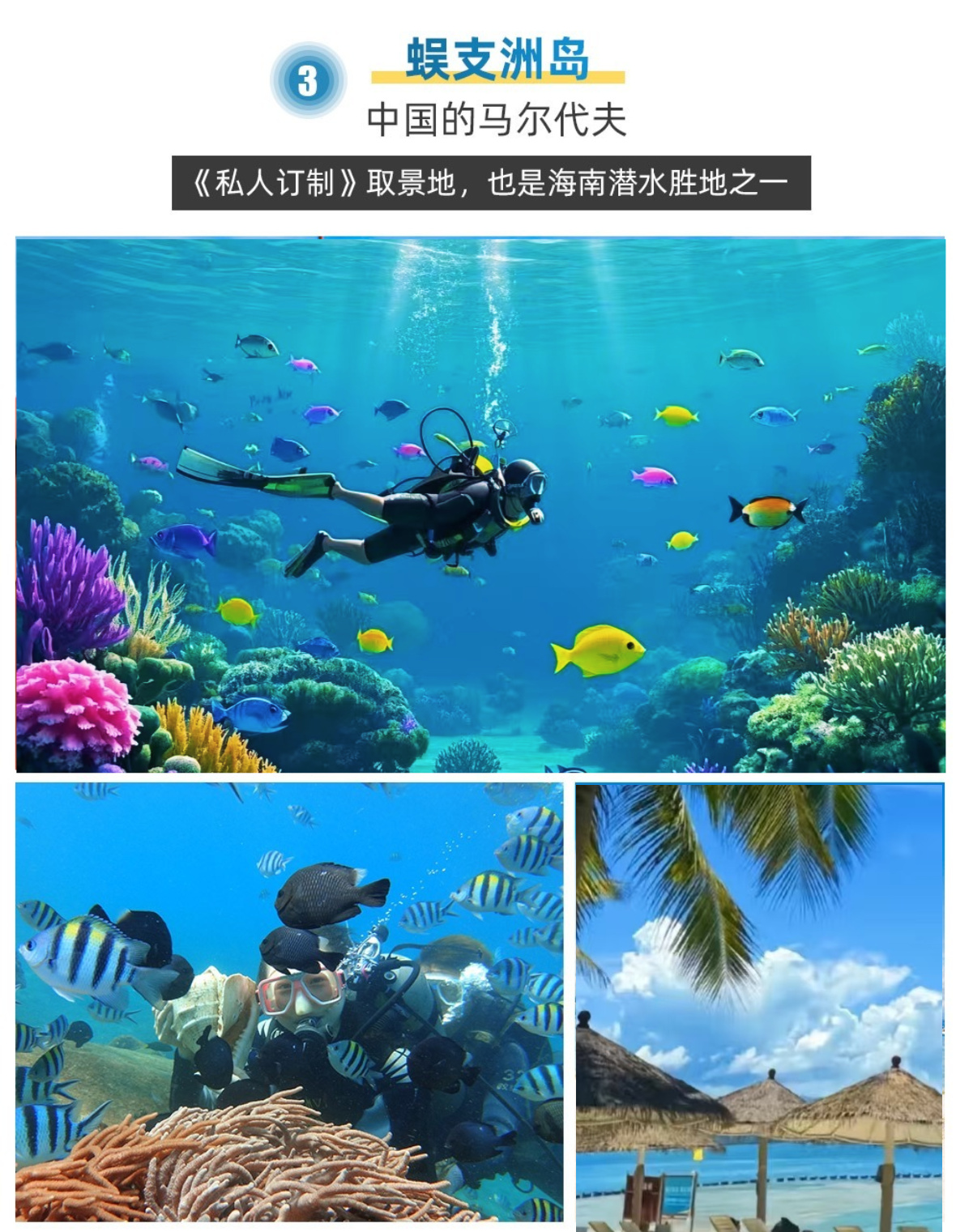 海南C详情9