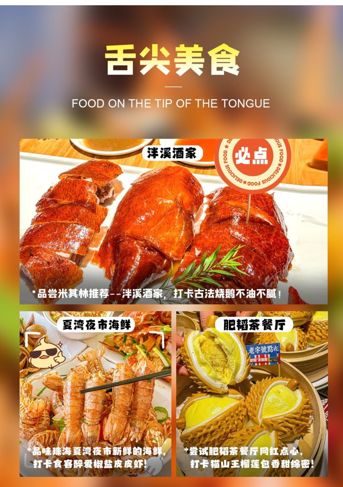 广珠深B详情7