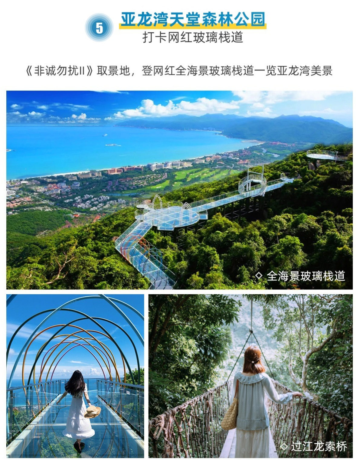 海南C详情11