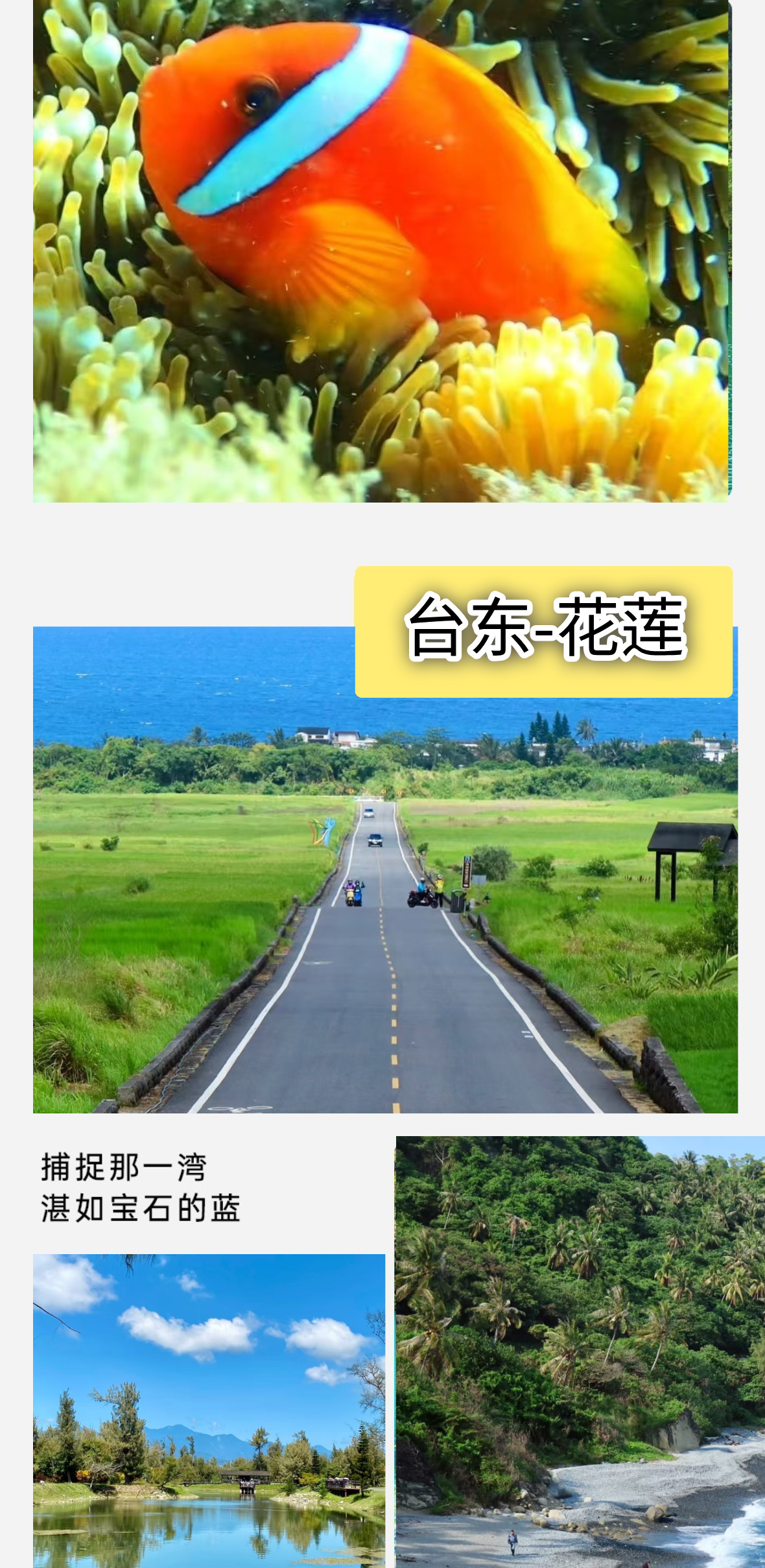 台湾A详情7
